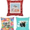 Anniversary Colourful Desi Printed Cushion