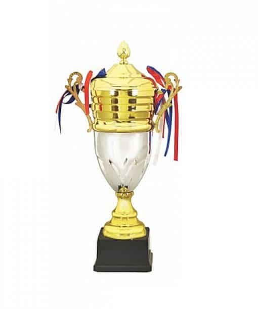 Buy 2 Color Mix Wooden Base Gold Trophies Cup | Customized Own Engraved Design | Best Award For Competition Tournaments