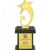 2 Gold Metal Star Wooden Base Trophies Cup