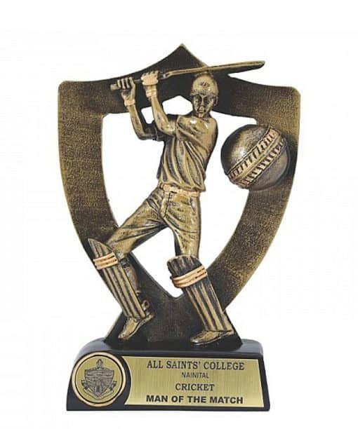 Buy Engraved Text Batsman Wooden Base Gold Cup | Customized Own Engraved Design | Best Award For Competition Tournaments